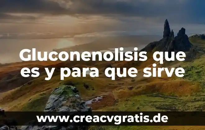 Que es el onoton y para que sirve 3 Gluconenolisis que es y para que sirve