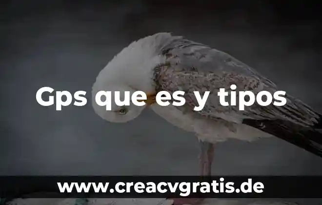 Que es una implicatura conversacional y sus tipos 3 Gps que es y tipos