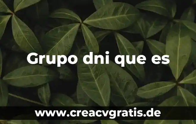 Que es un grupo en servidores 7 Grupo dni que es