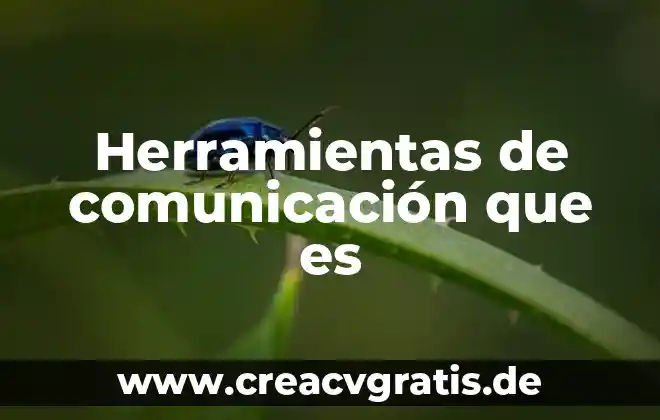 Qué es y para qué sirve en informática las herramientas 7 Herramientas de comunicación que es