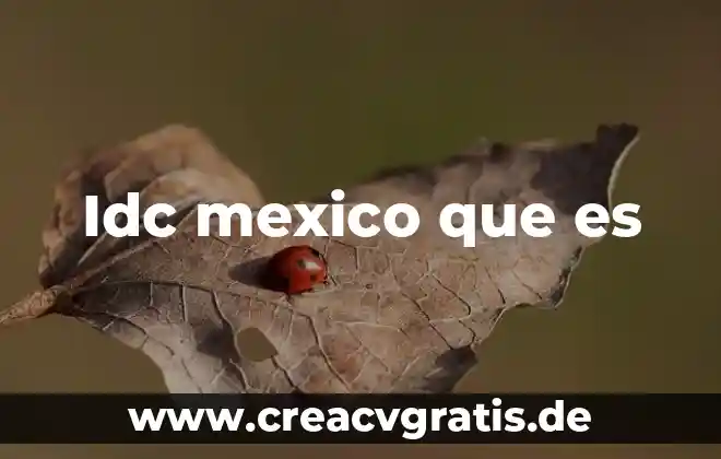 Que es ideograma en literatura 7 Idc mexico que es
