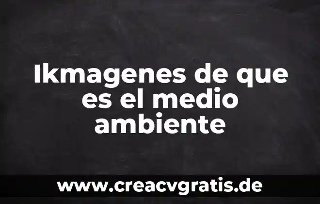 Qué es un medio de acuerdo al programa sep 2011 3 Ikmagenes de que es el medio ambiente