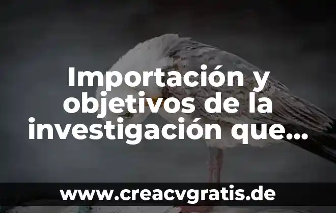 Que es investigacion tipos de investigacion 6 Importación y objetivos de la investigación que es