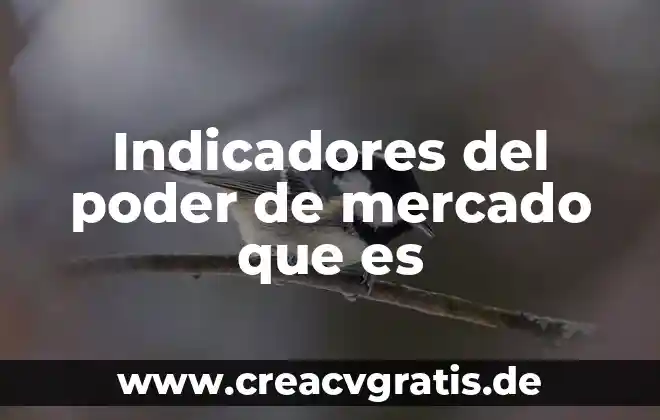 Que es el mercado de dienro 3 Indicadores del poder de mercado que es