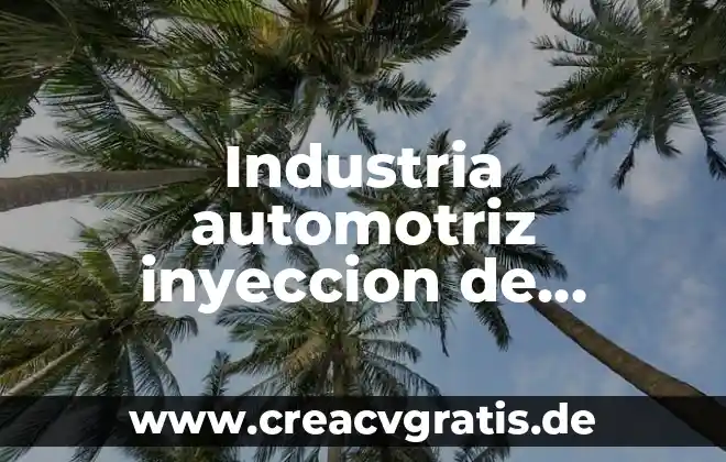Qué es un mapa de inyección 3 Industria automotriz inyeccion de plastico que es