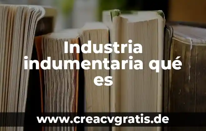 Que es principio no-directivo 4 Industria indumentaria qu茅 es