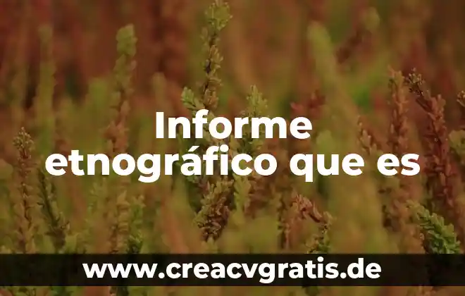 Qué es una propuesta formativa en educación 8 Informe etnográfico que es