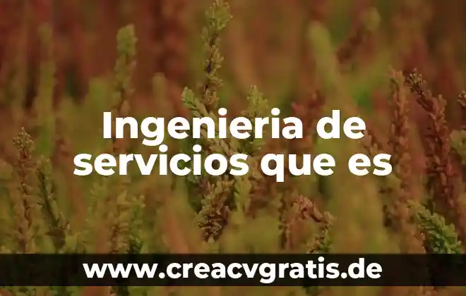 Servicios estudiantiles ipn para que es 3 Ingenieria de servicios que es