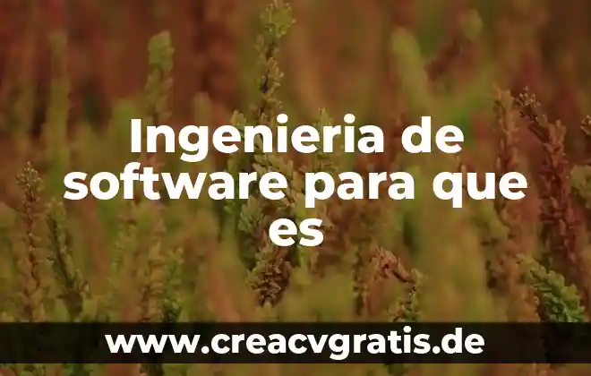 Software sifrados que es y tipos 4 Ingenieria de software para que es