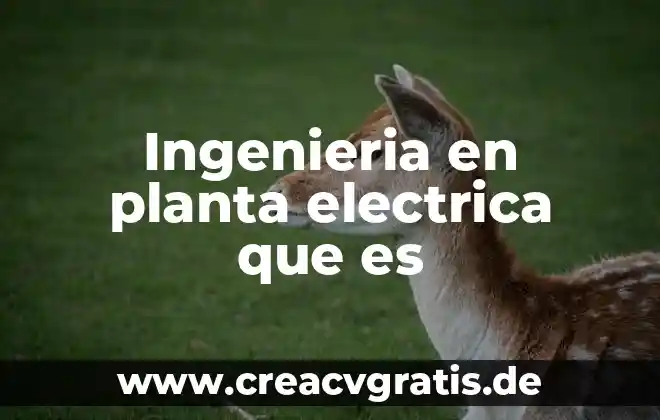 Que es una licenciatura en ingeniería civil 8 Ingenieria en planta electrica que es