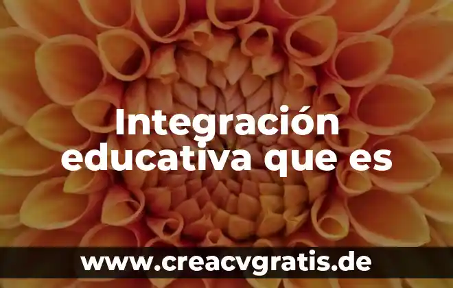 Que es control de integracion 4 Integración educativa que es