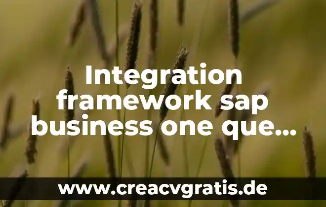 Qué es el número de SAP en Maxigás 3 Integration framework sap business one que es