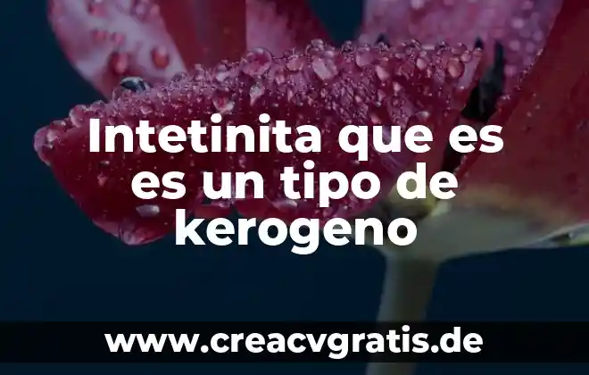 Que es verbo compuesto ejemplos 8 Intetinita que es es un tipo de kerogeno