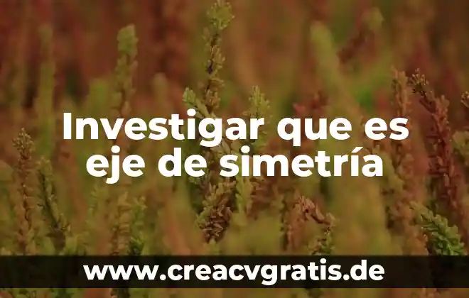 Que es el eje de simetria para niños 7 Investigar que es eje de simetría