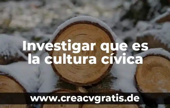 Que es un asunto privado civica y etica 4 Investigar que es la cultura cívica