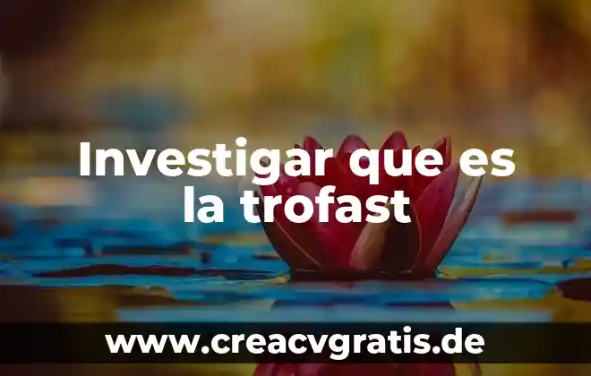 Investigar que es una fracción decimal 4 Investigar que es la trofast