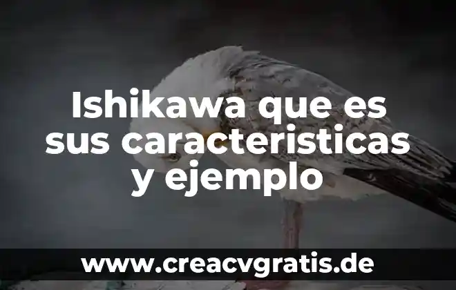 Que es un mapache y sus caracteristicas 5 Ishikawa que es sus caracteristicas y ejemplo