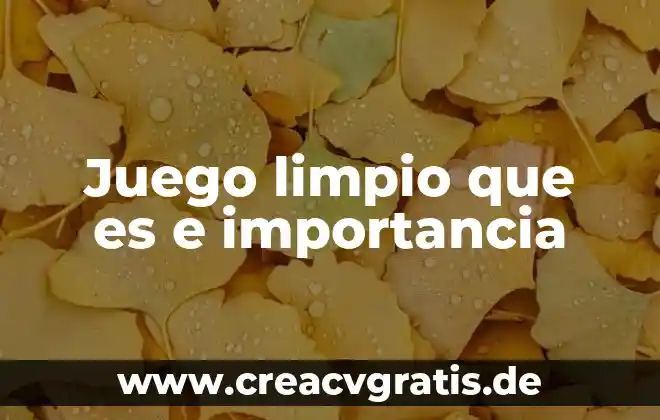 Resumen que es ser limpio 5 Juego limpio que es e importancia