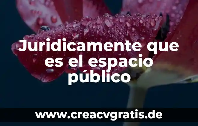 Qué es un examen general en estudio 5 Juridicamente que es el espacio público