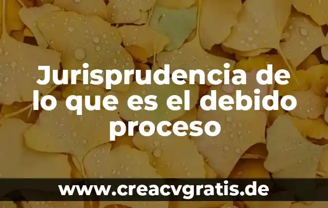 Que es el proceso gruas 4 Jurisprudencia de lo que es el debido proceso