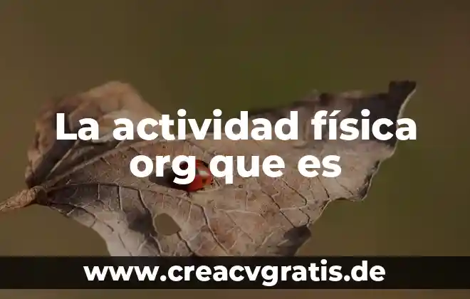 Que es el nombre de una actividad 5 La actividad física org que es