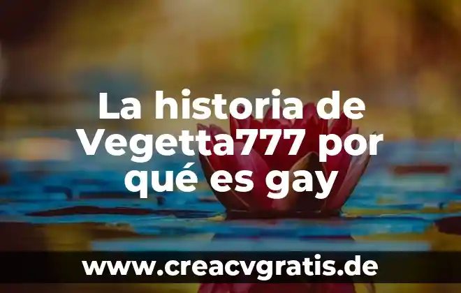 Que es lógica discursiva 8 La historia de Vegetta777 por qué es gay
