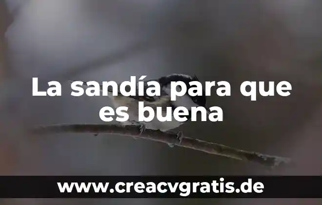Qué es buena para quemaduras 4 La sandía para que es buena