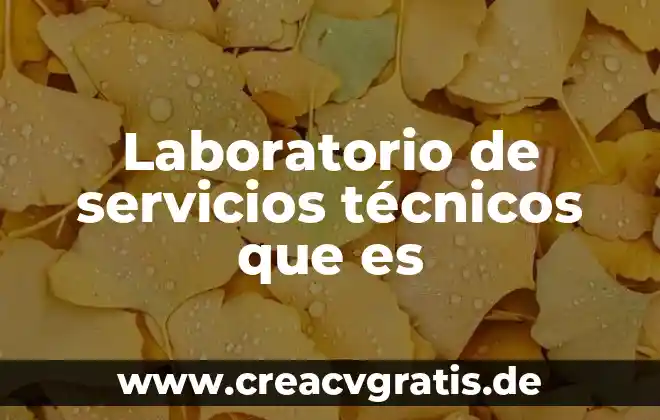 Que es evaluacion de los procesos tecnicos 6 Laboratorio de servicios técnicos que es