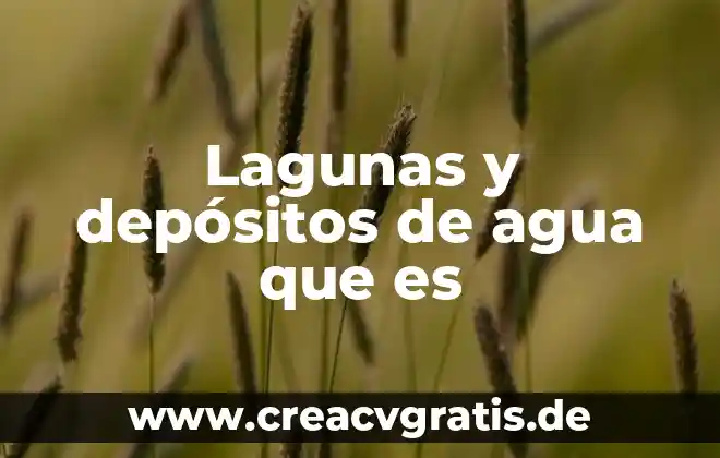 Que objetivos dedemos tener alsaber que es el agua 8 Lagunas y depósitos de agua que es