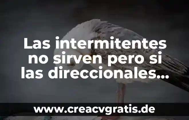 Agua que es y para qué sirven 4 Las intermitentes no sirven pero si las direccionales que es