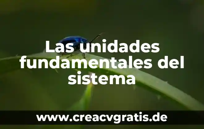Qué es el sistema de inteligencia de mercados 7 Las unidades fundamentales del sistema