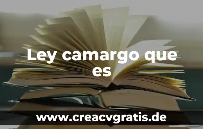 Principio de progresividad de la ley que es 5 Ley camargo que es