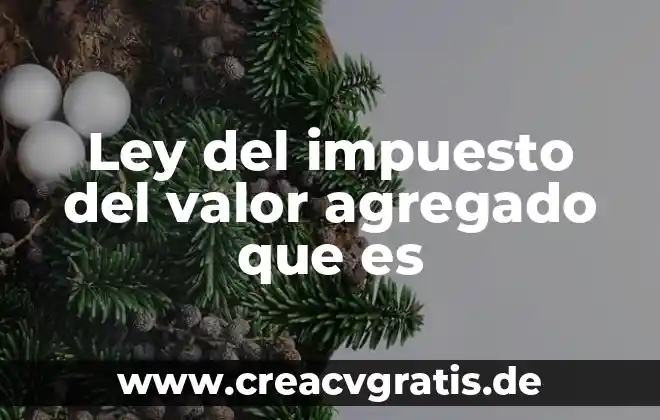 Que es un concepto de violaci贸n en los agravios 6 Ley del impuesto del valor agregado que es