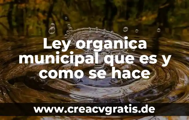 Obturación que es sistemas de visión 5 Ley organica municipal que es y como se hace