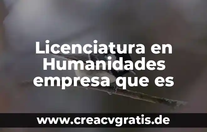 Que es sistemas de la empresa 4 Licenciatura en Humanidades empresa que es