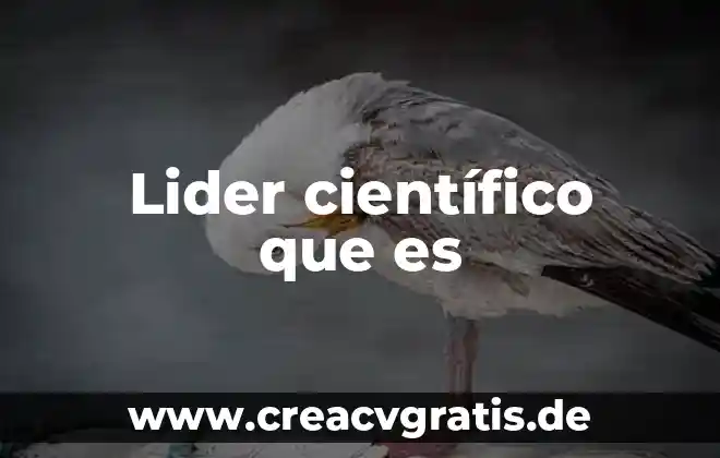 Que es ser un buen lider mexicano 7 Lider científico que es