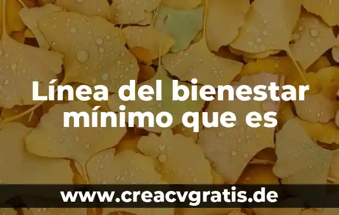 Que es el bienestar objetivo 5 Línea del bienestar mínimo que es