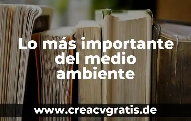 Que es el medio ambiente en un pais 7 Lo más importante del medio ambiente