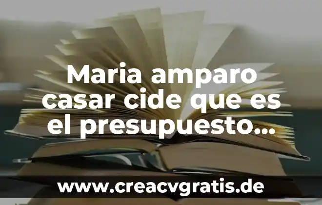 Que es el término de depuracion en un amparo 7 Maria amparo casar cide que es el presupuesto federal