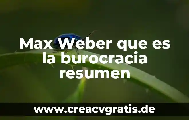 Examen de qué es la burocracia de Marx Weber 4 Max Weber que es la burocracia resumen