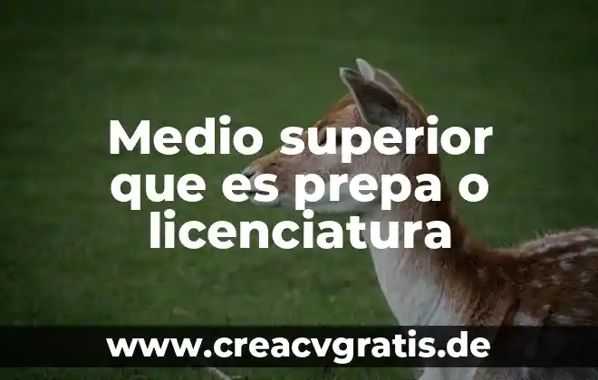 Qué es número superior 3 Medio superior que es prepa o licenciatura