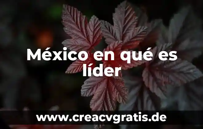 Que es ser un buen lider mexicano 3 México en qué es líder