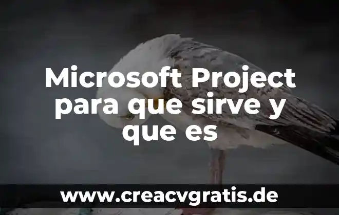 Que es un tabla microsoft access 7 Microsoft Project para que sirve y que es