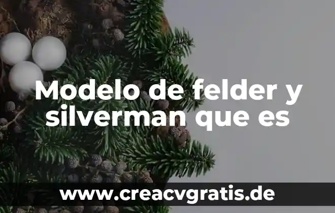 Que es una prueba de embarazo falso positivo 4 Modelo de felder y silverman que es