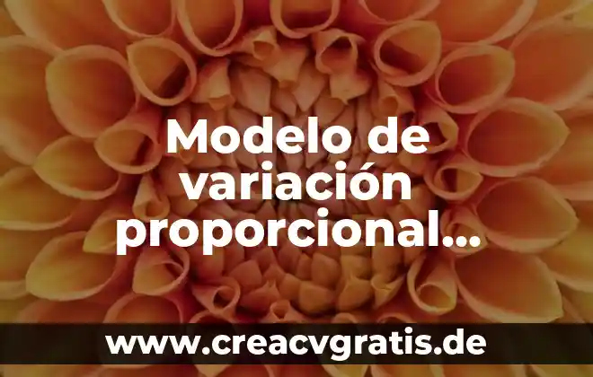 Representación proporcional puntos de por qué es mejor 8 Modelo de variación proporcional directa que es