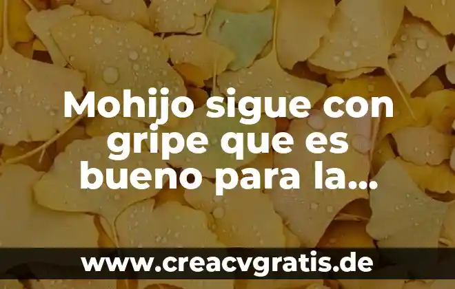 Que es ese chorrito de sangre que sale 3 Mohijo sigue con gripe que es bueno para la gripe