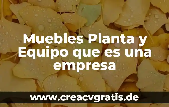 Qué es un equipo forrajero significado 6 Muebles Planta y Equipo que es una empresa