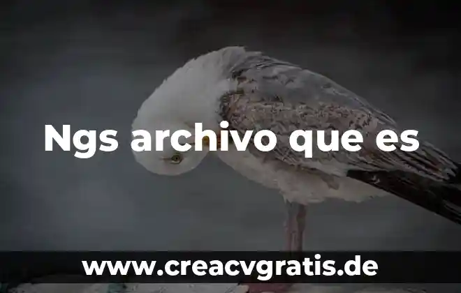 Que es un archivo oculto 4 Ngs archivo que es