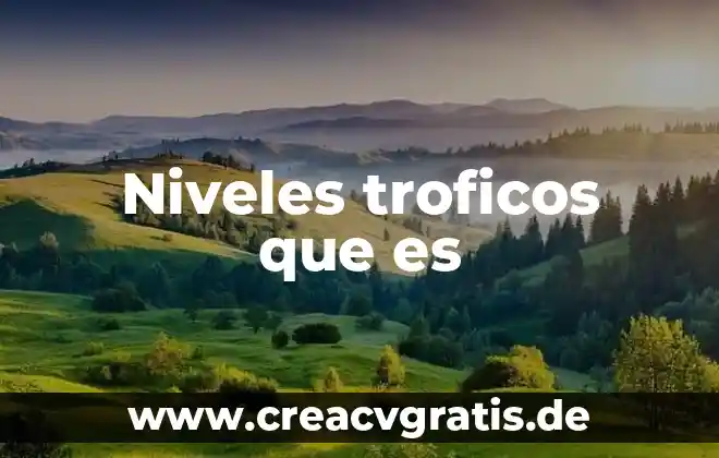 Almacenamiento temporal que es 8 Niveles troficos que es