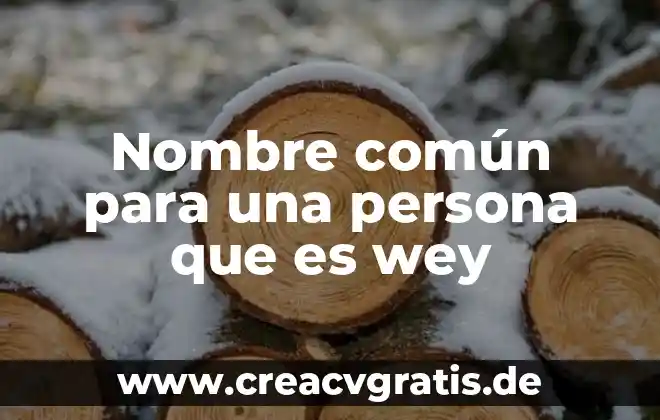Que es una persona audax 7 Nombre común para una persona que es wey